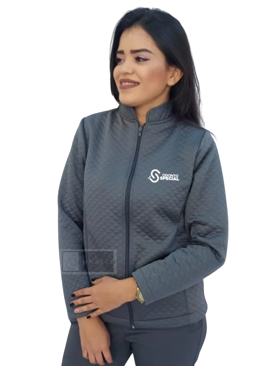 bc7964_93e8d6be5e3140f58f5f9ac1c6670dd